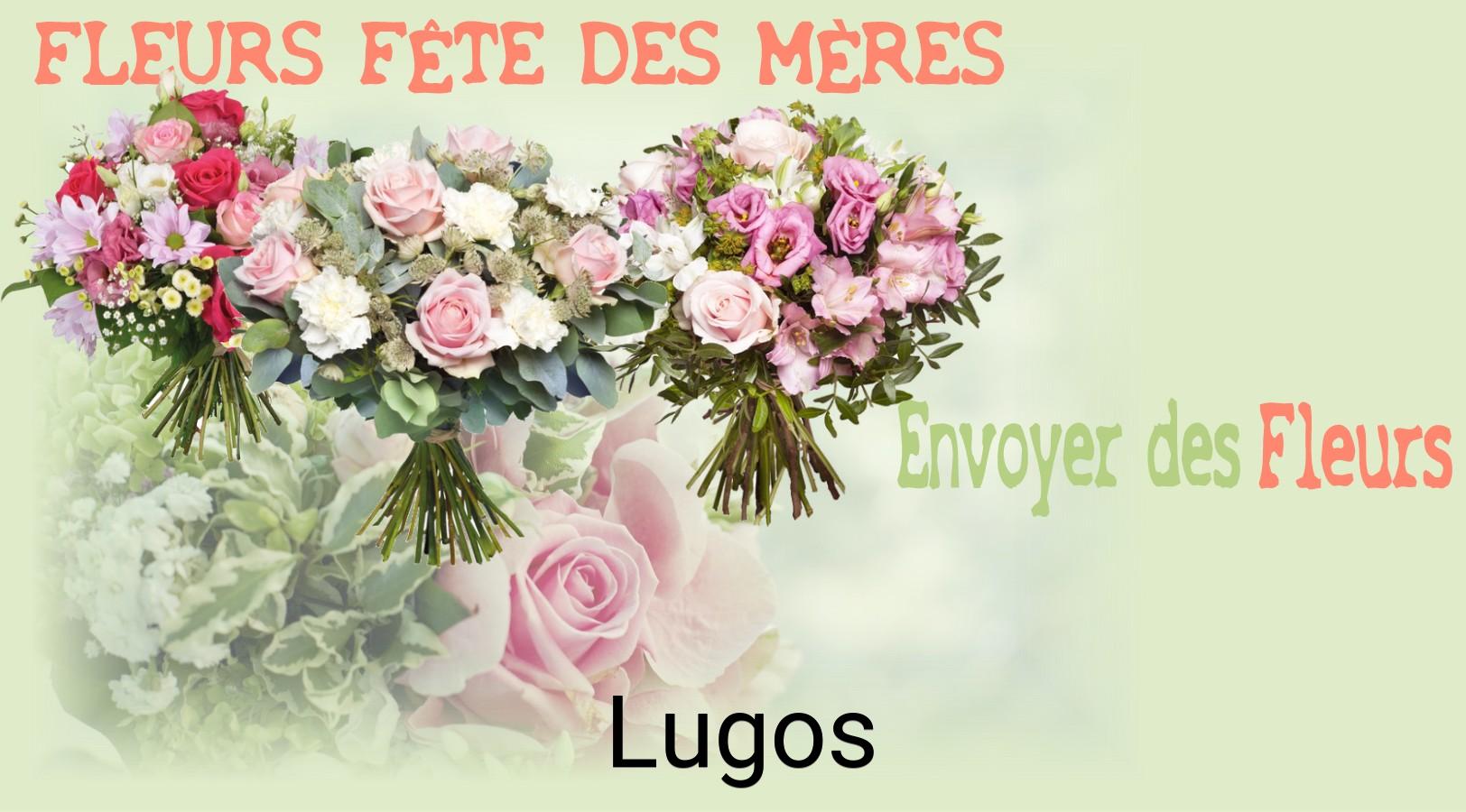 Bouquet de Fête des Mères livré à Lugos